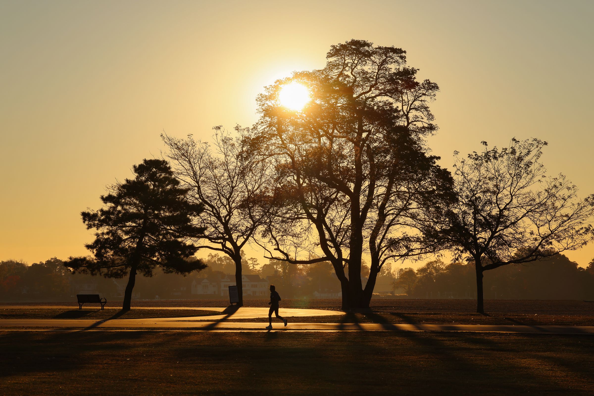 Solitary runner on a tranquil morning jog at sunrise