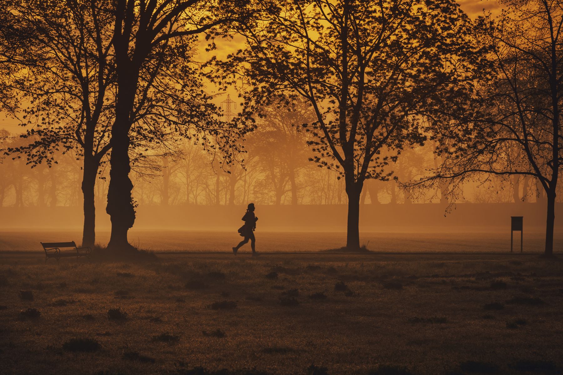 Person jogging in silhouette during sunrise on a foggy morning